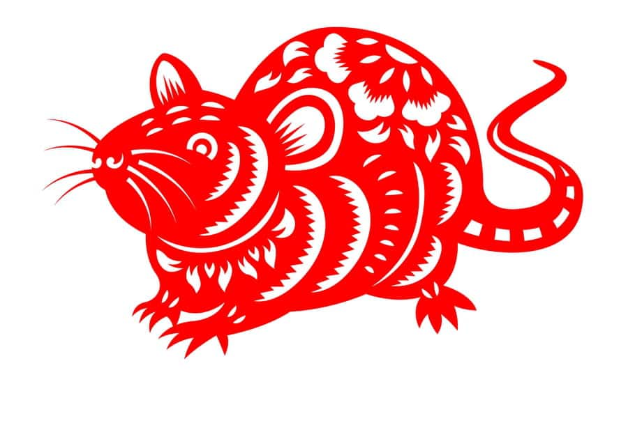 You are currently viewing Quelles sont les compatibilités en amour du Rat en astrologie chinoise ?