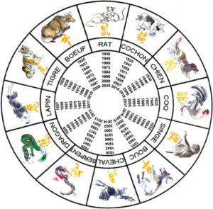 Quels sont les rendus professionnels des signes astrologiques chinois ?